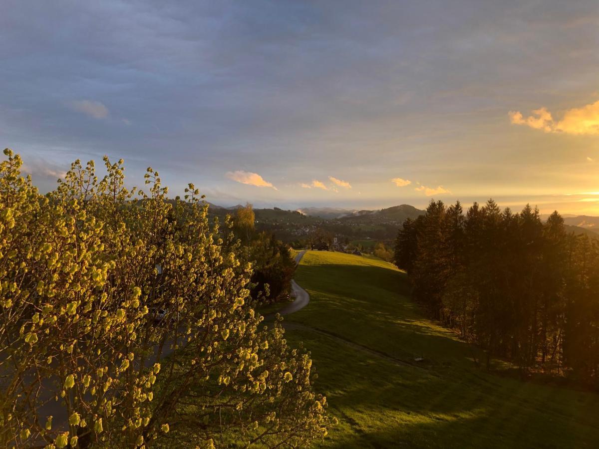 Hotel Hirschen Wald Wald  Exterior foto