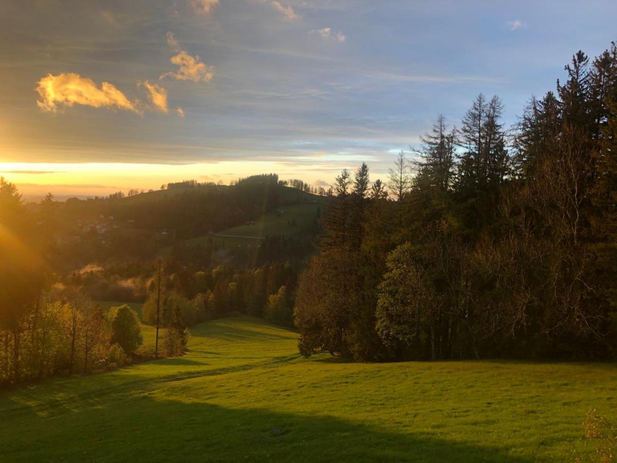 Hotel Hirschen Wald Wald  Exterior foto