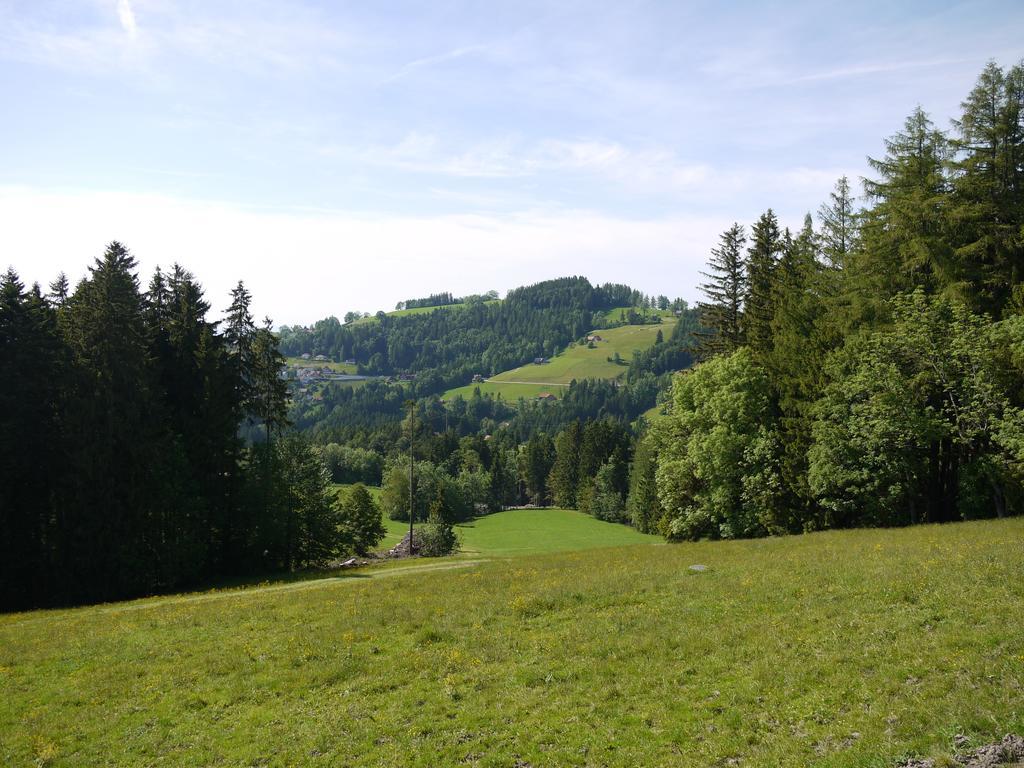 Hotel Hirschen Wald Wald  Exterior foto